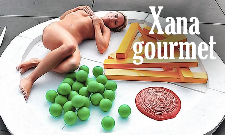 Xana gourmet 0 capa