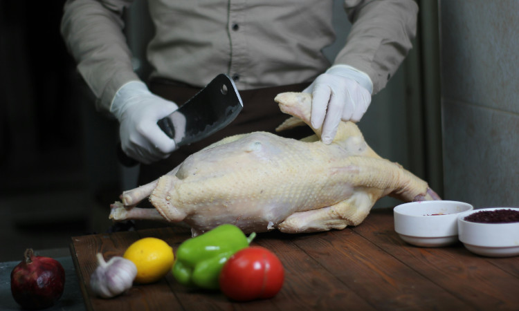 Comprei um frango e ganhei uma piça de brinde